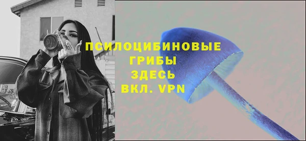 спиды Верея