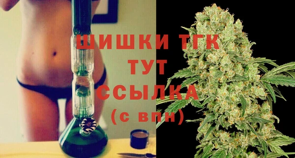 спиды Верея