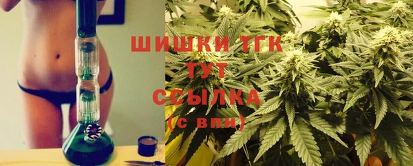 спиды Верея