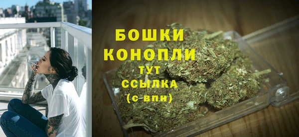 спиды Верея