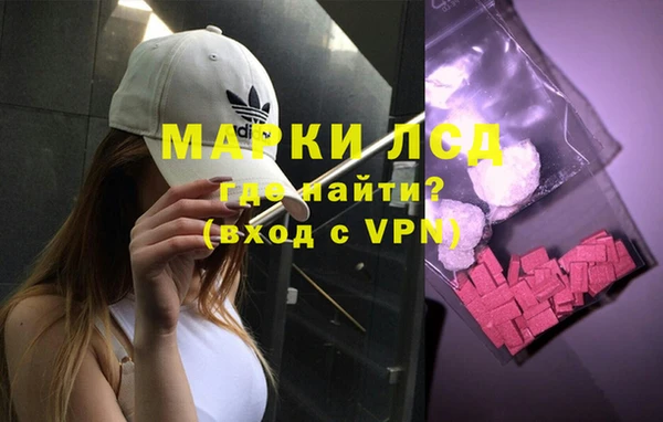 спиды Верея