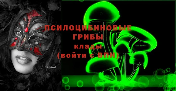 спиды Верея