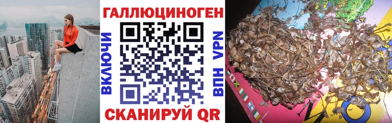 Галлюциногенные грибы Magic Shrooms  Южноуральск 